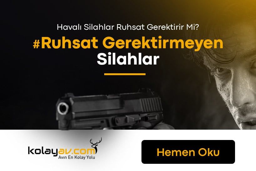 Ruhsat Gerektirmeyen Silahlar & Havalılarda Gerekli Mi? 2024