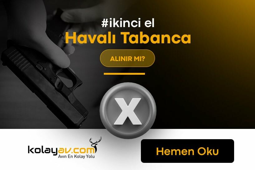 İkinci El Havalı Tabanca Alınır Mı? Dezavantajları